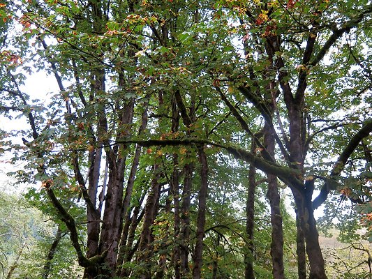 Ovenals doubleO ranch - 119