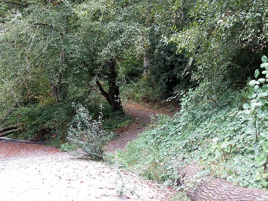 Ovenals doubleO ranch - 164 Ovenals doubleO ranch - 164