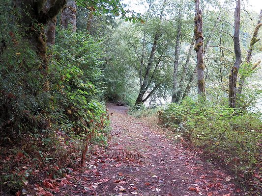 Ovenals doubleO ranch - 205 Ovenals doubleO ranch - 205