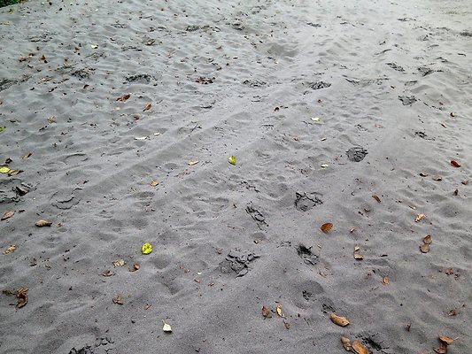 Ovenals doubleO ranch - 148 Ovenals doubleO ranch - 148