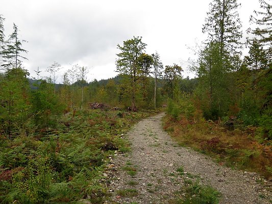 Ovenals doubleO ranch - 34 Ovenals doubleO ranch - 34