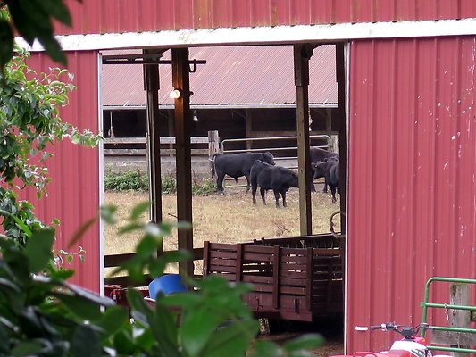 Ovenals doubleO ranch - 6 Ovenals doubleO ranch - 6