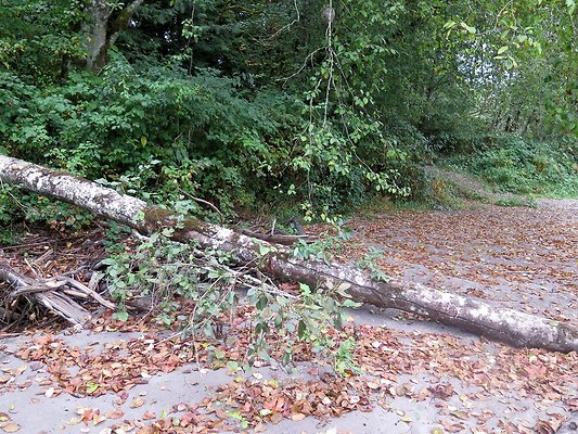 Ovenals doubleO ranch - 180 Ovenals doubleO ranch - 180