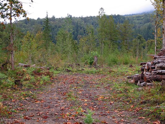 Ovenals doubleO ranch - 42 Ovenals doubleO ranch - 42