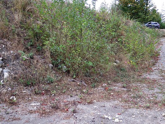 Ovenals doubleO ranch - 70