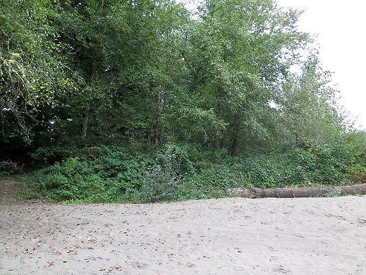 Ovenals doubleO ranch - 151 Ovenals doubleO ranch - 151