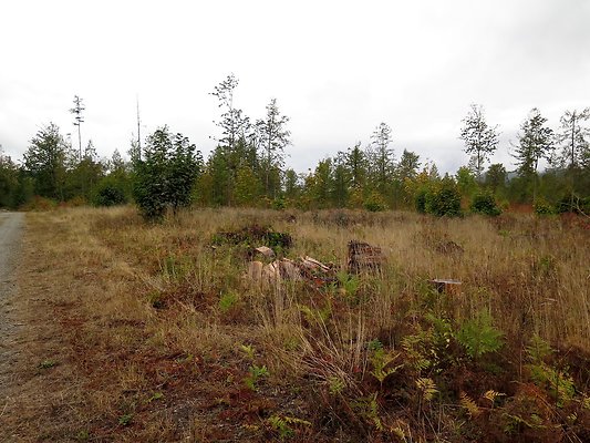 Ovenals doubleO ranch - 84