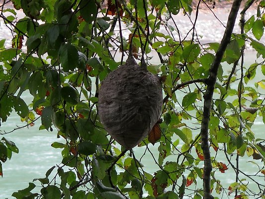 Ovenals doubleO ranch - 199 Ovenals doubleO ranch - 199