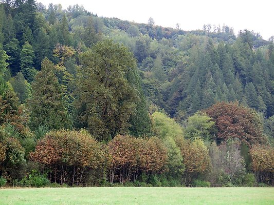 Ovenals doubleO ranch - 216 Ovenals doubleO ranch - 216