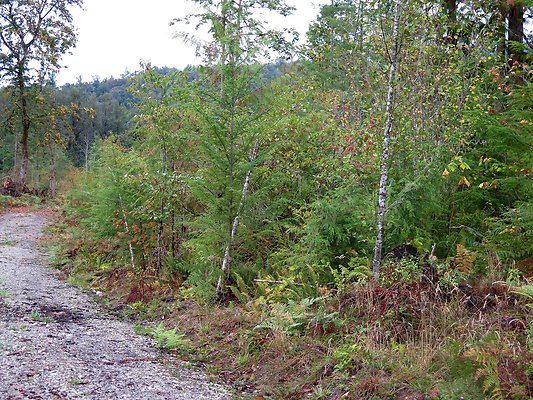 Ovenals doubleO ranch - 39 Ovenals doubleO ranch - 39