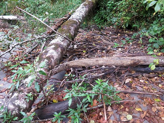 Ovenals doubleO ranch - 175 Ovenals doubleO ranch - 175