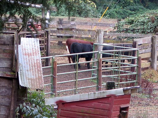 Ovenals doubleO ranch - 4 Ovenals doubleO ranch - 4