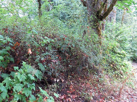 Ovenals doubleO ranch - 204 Ovenals doubleO ranch - 204