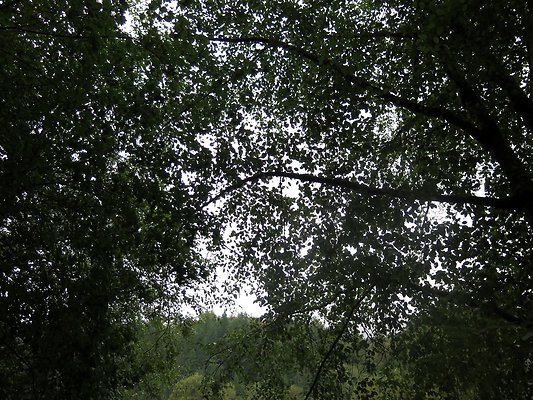 Ovenals doubleO ranch - 130 Ovenals doubleO ranch - 130