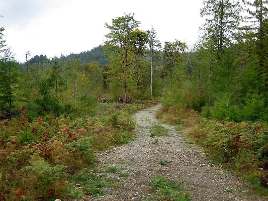 Ovenals doubleO ranch - 32 Ovenals doubleO ranch - 32