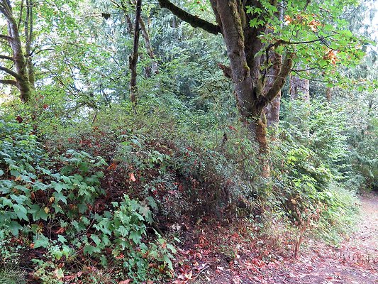 Ovenals doubleO ranch - 121 Ovenals doubleO ranch - 121