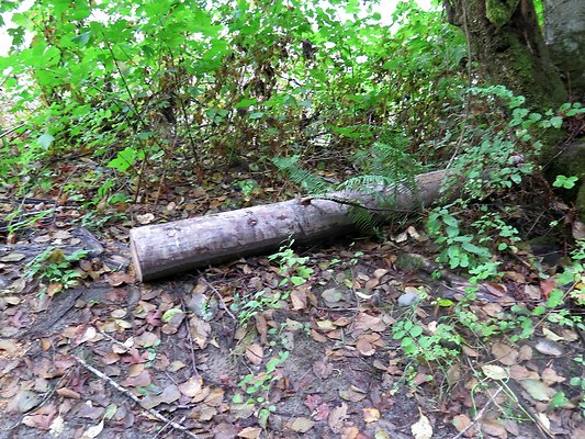 Ovenals doubleO ranch - 198 Ovenals doubleO ranch - 198