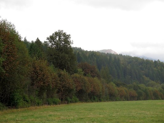 Ovenals doubleO ranch - 211 Ovenals doubleO ranch - 211