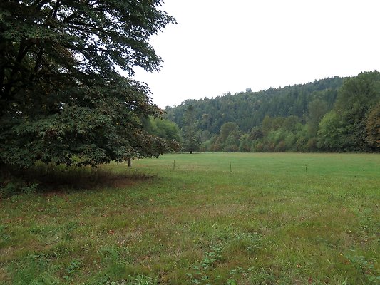 Ovenals doubleO ranch - 102