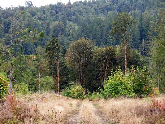 Ovenals doubleO ranch - 89