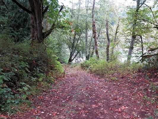 Ovenals doubleO ranch - 120