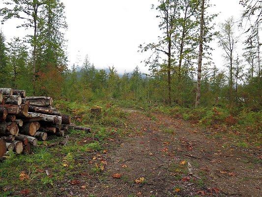 Ovenals doubleO ranch - 48 Ovenals doubleO ranch - 48