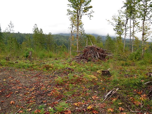 Ovenals doubleO ranch - 45 Ovenals doubleO ranch - 45