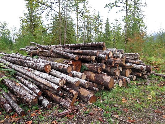 Ovenals doubleO ranch - 47 Ovenals doubleO ranch - 47