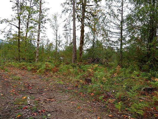 Ovenals doubleO ranch - 49 Ovenals doubleO ranch - 49