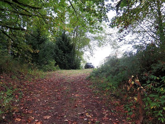 Ovenals doubleO ranch - 202 Ovenals doubleO ranch - 202