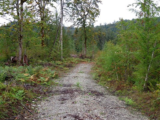 Ovenals doubleO ranch - 38 Ovenals doubleO ranch - 38