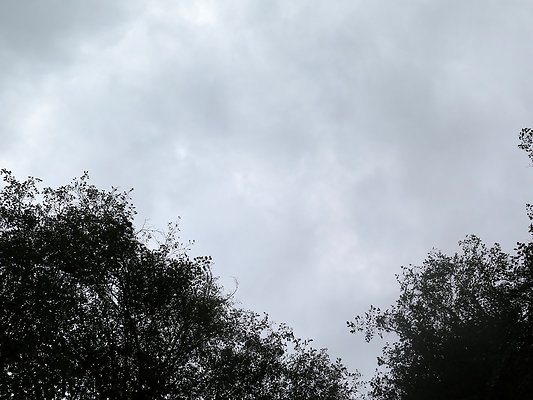 Ovenals doubleO ranch - 147 Ovenals doubleO ranch - 147