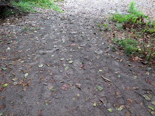 Ovenals doubleO ranch - 194 Ovenals doubleO ranch - 194