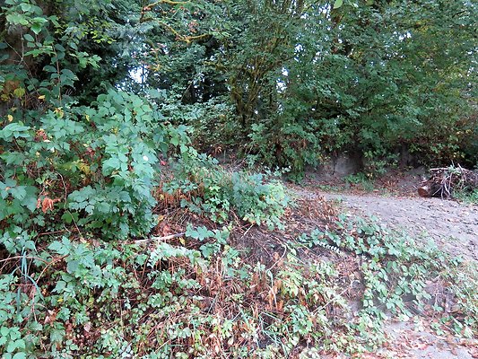 Ovenals doubleO ranch - 170 Ovenals doubleO ranch - 170