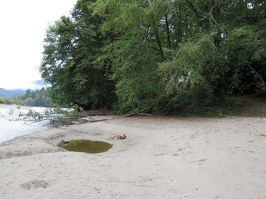 Ovenals doubleO ranch - 154 Ovenals doubleO ranch - 154