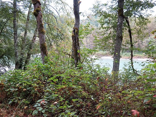 Ovenals doubleO ranch - 126 Ovenals doubleO ranch - 126