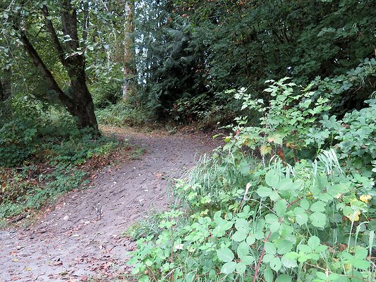 Ovenals doubleO ranch - 169 Ovenals doubleO ranch - 169