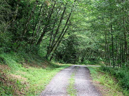 Medford rd Skagit county - 41