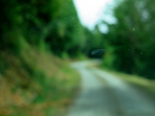 Medford rd Skagit county - 24