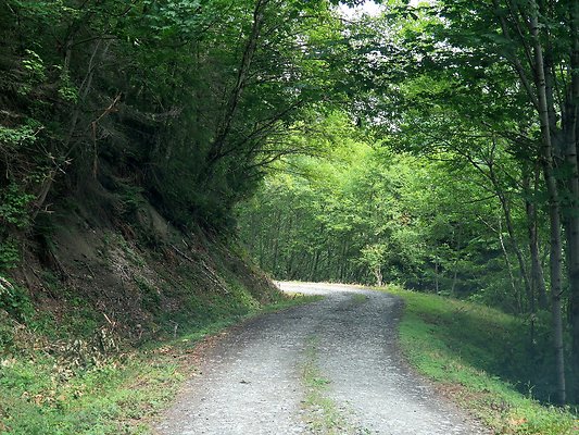 Medford rd Skagit county - 29