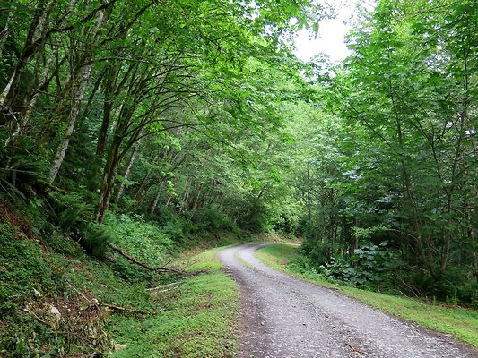 Medford rd Skagit county - 46