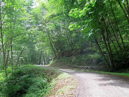 Medford rd Skagit county - 10