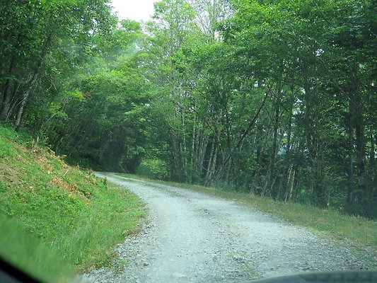 Medford rd Skagit county - 26