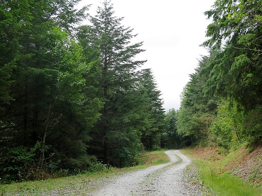 Medford rd Skagit county - 47