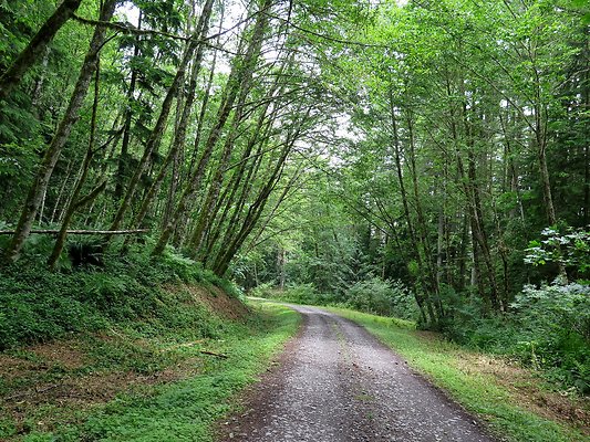 Medford rd Skagit county - 42