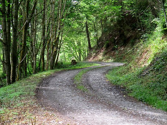 Medford rd Skagit county - 20