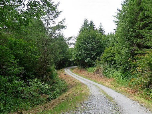 Medford rd Skagit county - 4