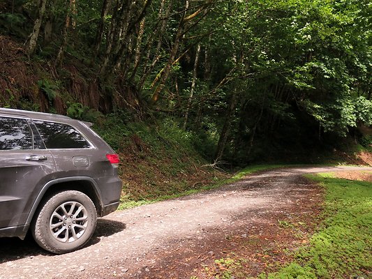 Medford rd Skagit county - 18