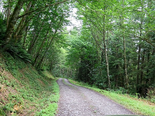 Medford rd Skagit county - 43