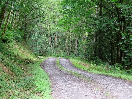 Medford rd Skagit county - 45